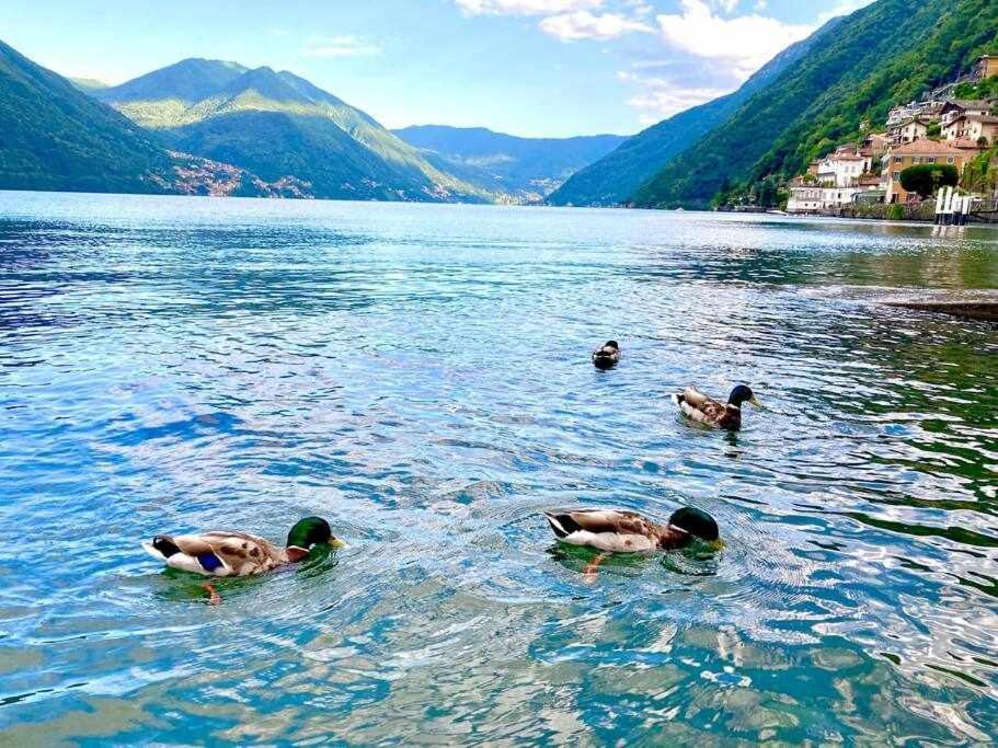 Una Finestra Sul Lago Argegno Luaran gambar